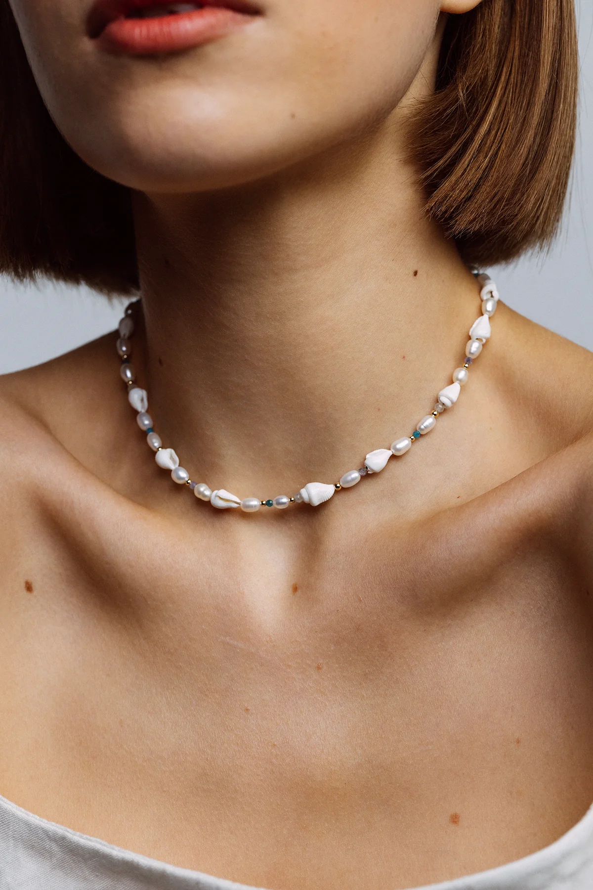 Collier Vénus - Coquillage - Image 2